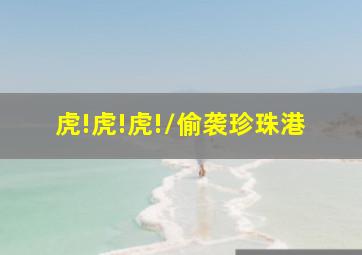 他她它
