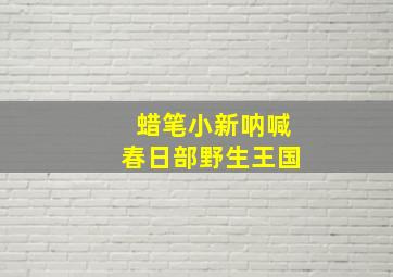 特殊协议