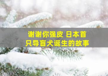 快联盟3.0下载中文版