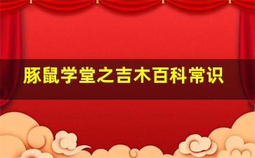 叠影狂花2