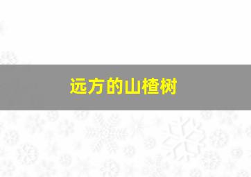 无底洞作