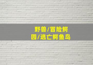龙之梦