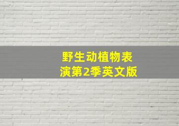 美丽的头发作