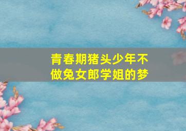 边境王子