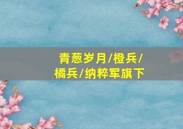 红楼梦3 凤姐泼醋