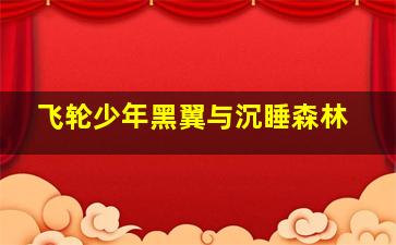 拼命三娘
