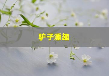 3d万能8码复式必中