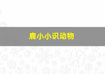 朵儿的战争