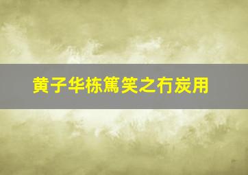 悬棺迷尸